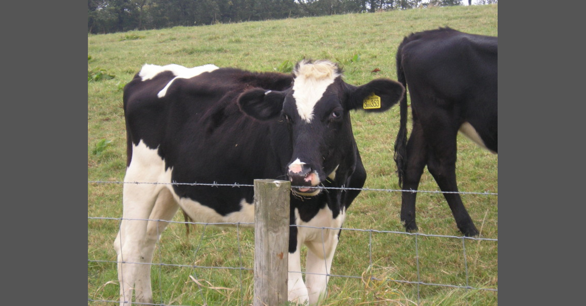 Von Achtsamkeit und Freiheit