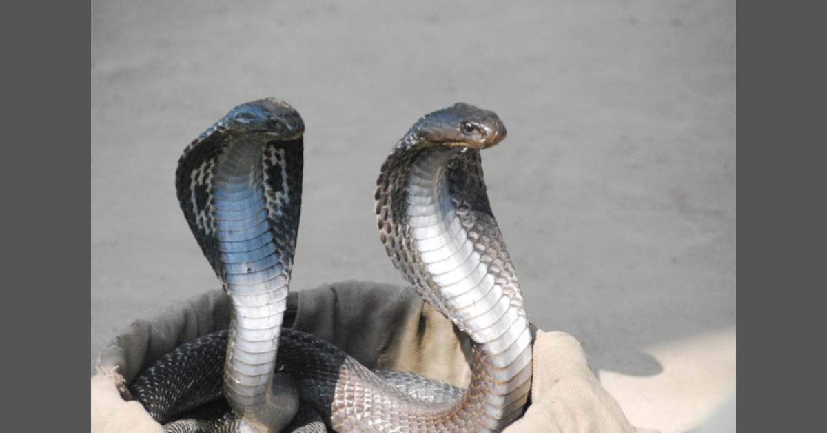 Zwischenmenschliches